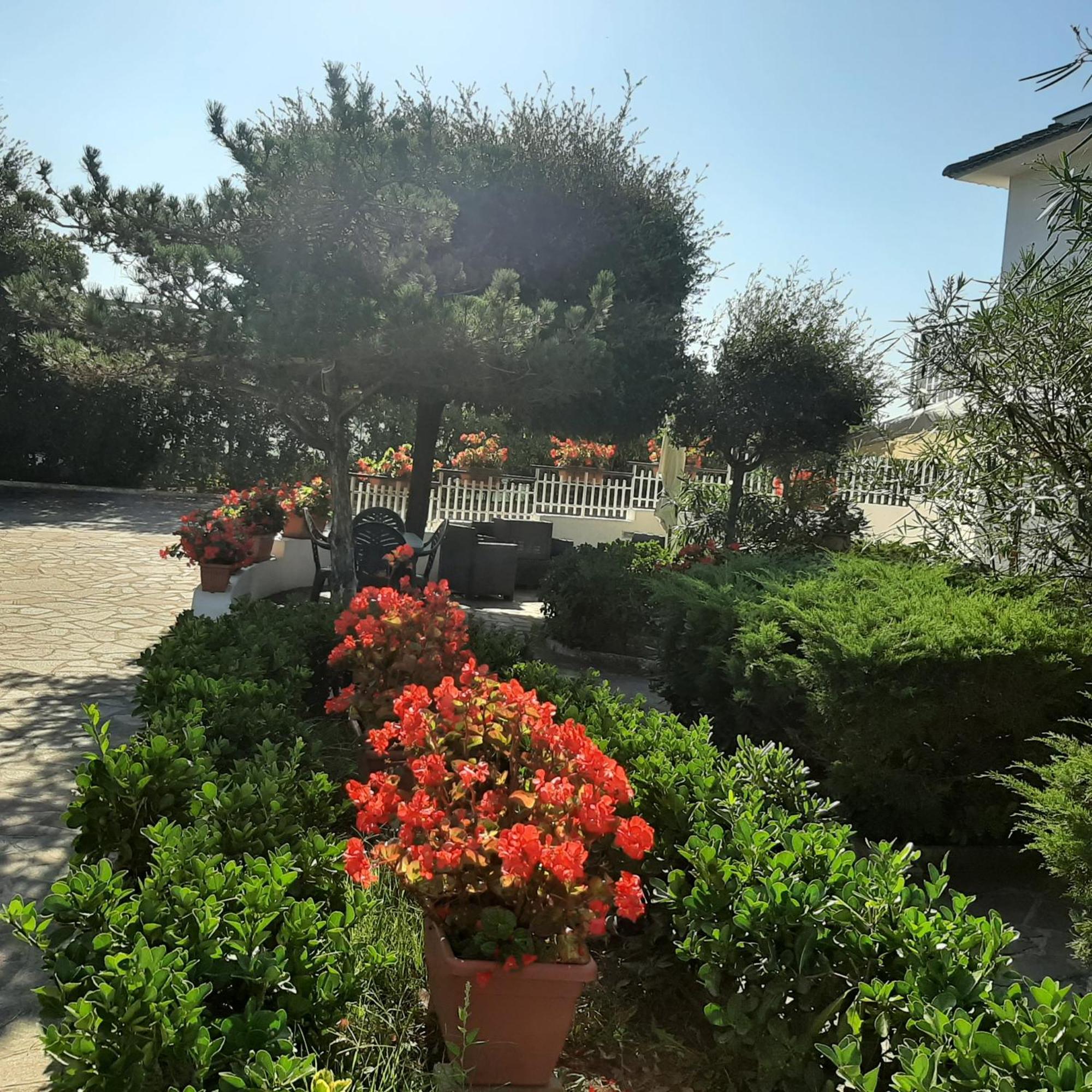 Appartamento In Villa Valentini, Fronte Mare, Giardino E Parcheggio Privato, Wifi, Dotato Di Tutti I Confort, Nel Golfo Di Gaeta Minturno Extérieur photo