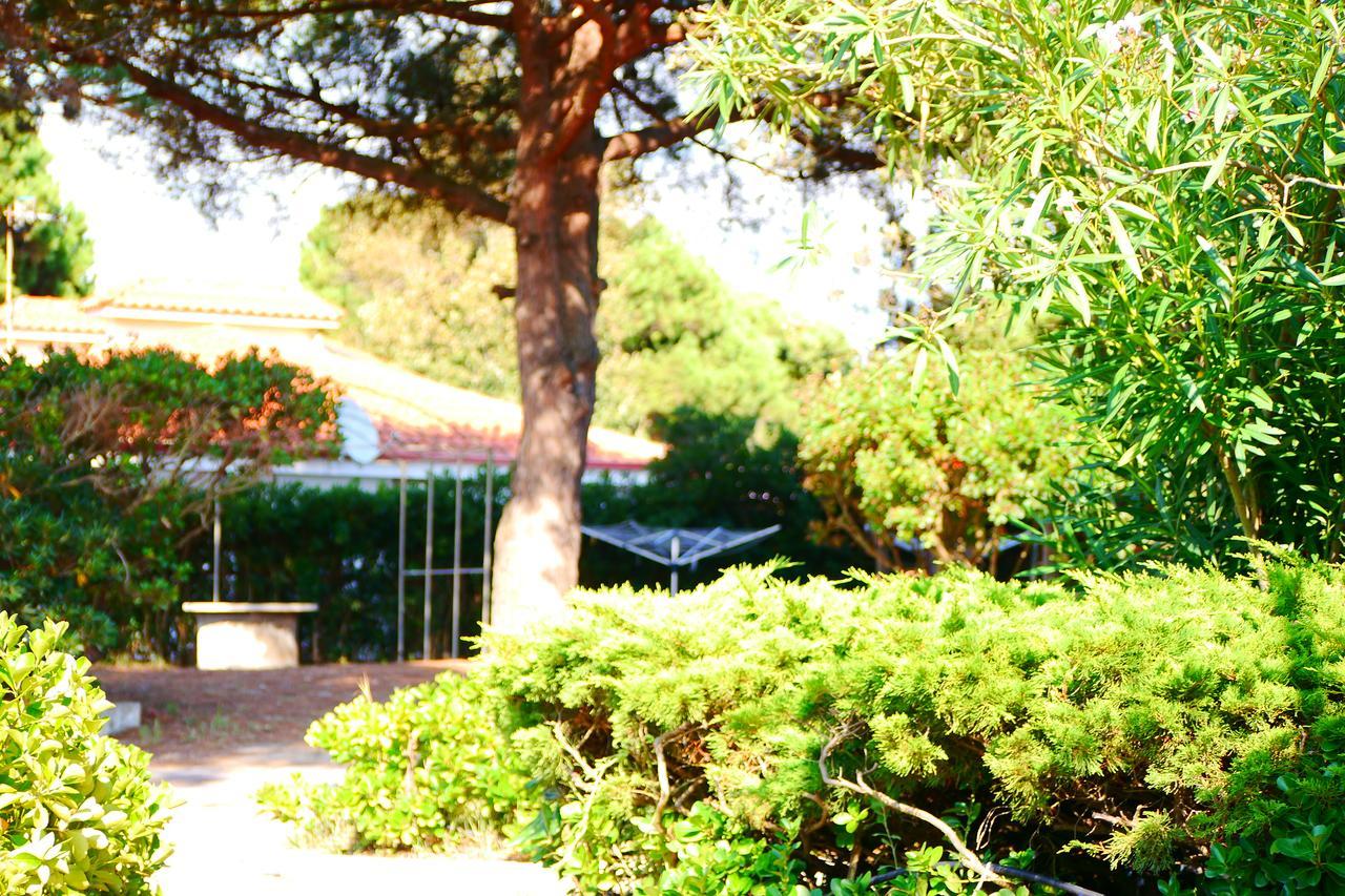 Appartamento In Villa Valentini, Fronte Mare, Giardino E Parcheggio Privato, Wifi, Dotato Di Tutti I Confort, Nel Golfo Di Gaeta Minturno Extérieur photo